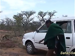 insatiable african safari bang-out romp